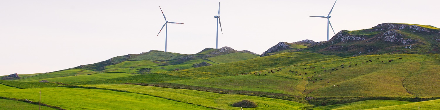 Slider field with wind turbine