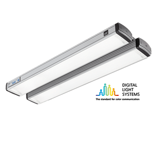 DLS moduLight